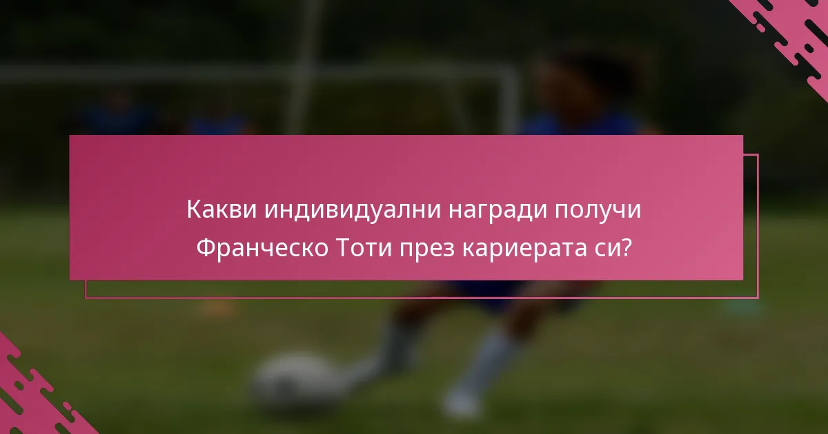 Какви индивидуални награди получи Франческо Тоти през кариерата си?