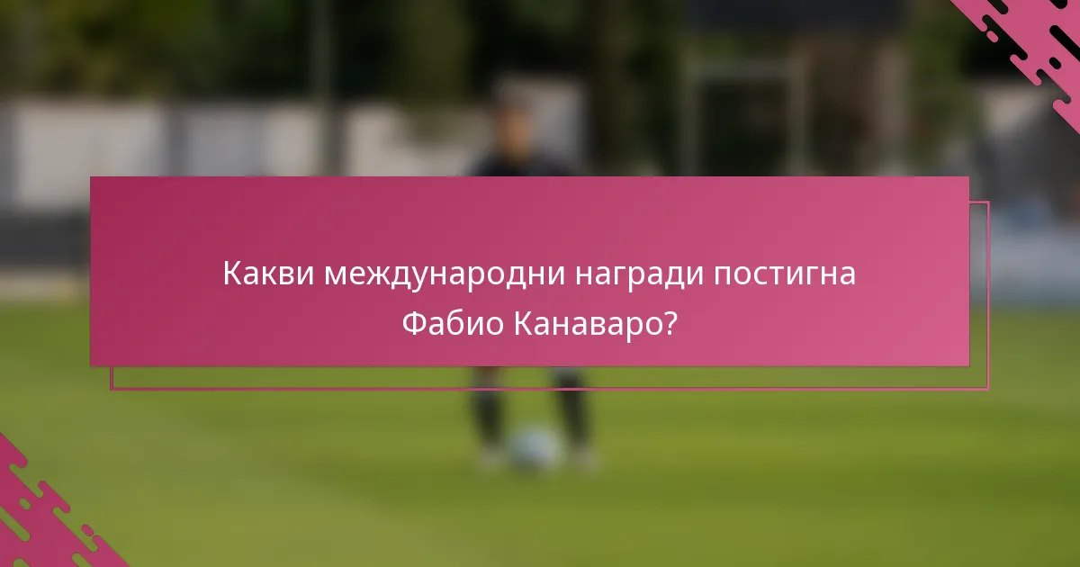 Какви международни награди постигна Фабио Канаваро?