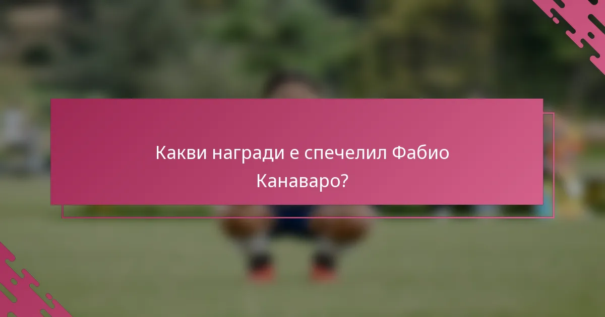Какви награди е спечелил Фабио Канаваро?